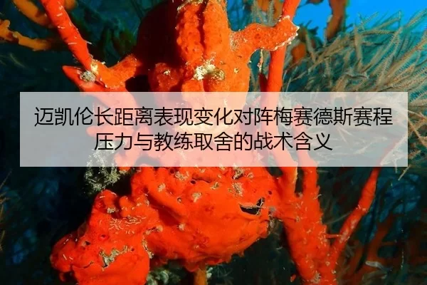 mai-kai-lun-zhang-ju-li-biao-xian-bian-hua-dui-zhen-mei-sai-de-si-sai-cheng-ya-li-yu-jiao-lian-qu-she-de-zhan-shu-han-yi-2-406.jpg
